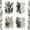 Stylish Style, variant on 84 Pieces Dried Pressed Leaves Flowers for Resin Mini Dried Flowers for Crafts Greenery Assorted for Art DIY Handmade Bookmarks 4 Bags(Vivid Style)