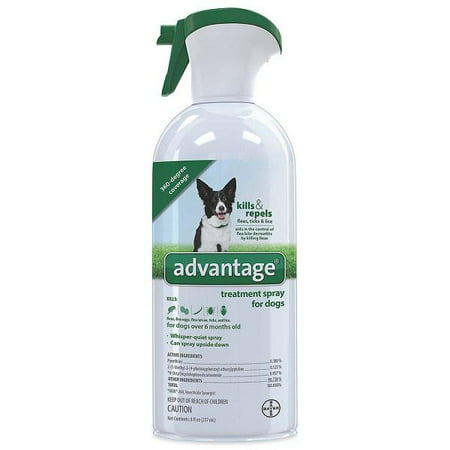 Advantage Flea Treatment Dog Spray Kills & Repels Flea Tick & Lice (Best Way To Kill Ticks On Dogs)