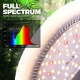 thumbnail image 4 of Bombilla LED Barrina de 50 W (2 x 25 W) de espectro completo, 4 of 9