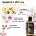 thumbnail image 5 of MAYJAM Orange Blossom Essential Oil for Diffuser and Aromatherapy, Skin Massage, Candle and Soap Making, 100ml, 5 of 7