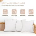 thumbnail image 3 of SHILIU-Throw Pillows Insert Set of 2,Bed and Couch Decorative Stuffer Pillows,Decorative Indoor Pillows for Sofa,100% Cotton Cover Pillow Stuffing (22x22 in), 3 of 4
