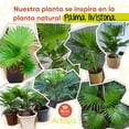 thumbnail image 4 of Planta Artificial Moderna Artego Palma Livistona Grande 180cm con Maceta Decorativa, 4 of 9