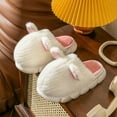 thumbnail image 1 of Lindas pantuflas de algodón con forma de ballena para mujer, para invierno, para parejas, para interiores y exteriores, para hombre y mujer, 1 of 6