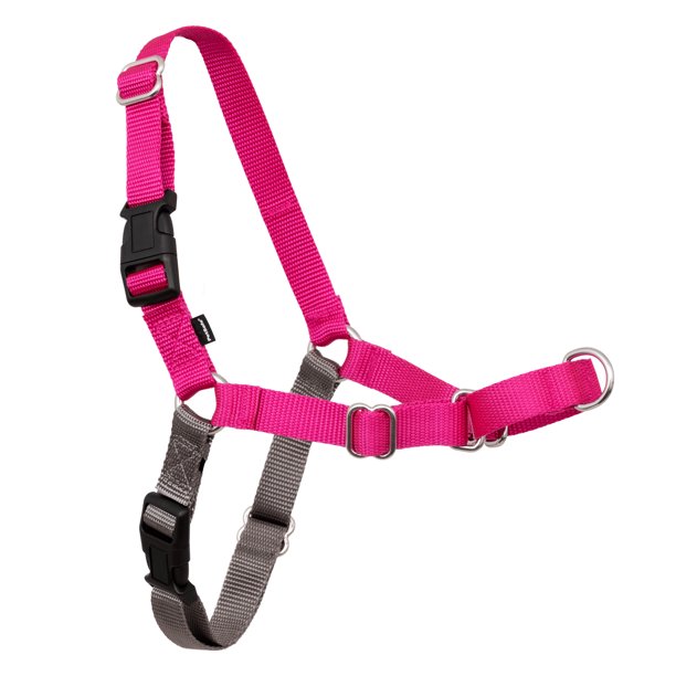 PetSafe Easy Walk NoPull Leash Training Dog Harness, Large, Raspberry