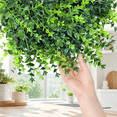 thumbnail image 5 of 24" Artificial Boxwood Wreath for Front Door, Spring Summer Greenery Wreath, All-Season Indoor Outdoor Farmhouse Wall Window Decor, 5 of 8