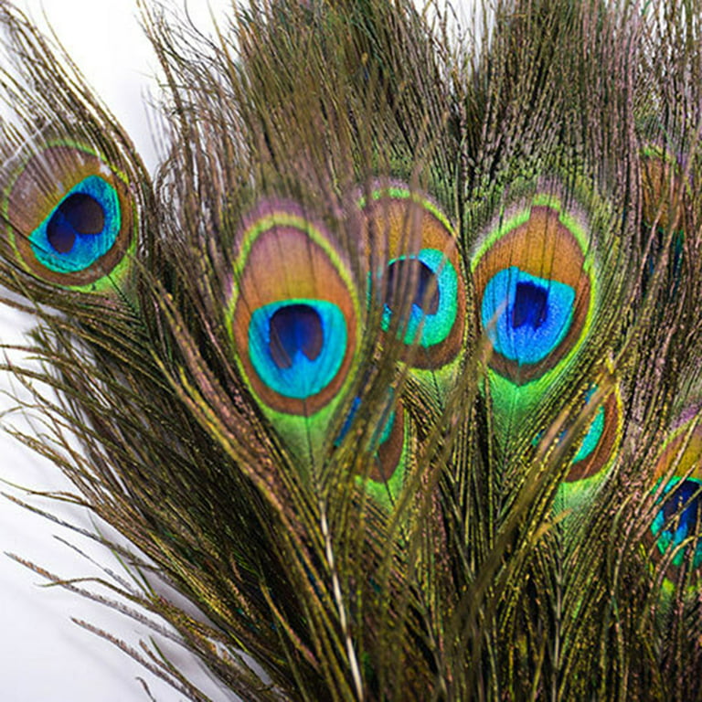 10PCS Natural Peacock Feathers 25-30cm for Wedding Vase Table
