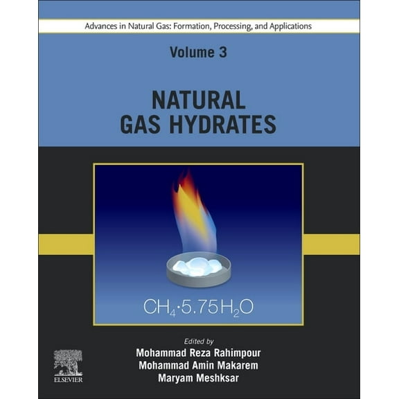Advances in Natural Gas: Formation, Processing, and Applications. Volume 3: Natural Gas Hydrates, (Paperback)