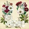 thumbnail image 3 of McCavitt, Naomi 15x15 Black Modern Framed Museum Art Print Titled - Magnolia and Poppy Wreath I, 3 of 5