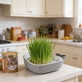 thumbnail image 6 of AuroraX Cat Grass Planter Hydroponic Cat Grass Kit Whales Shaped Indoor No Mess Cute Pet Supplies, 6 of 6