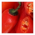 thumbnail image 3 of Chile jalapeño rojo, 3 of 4