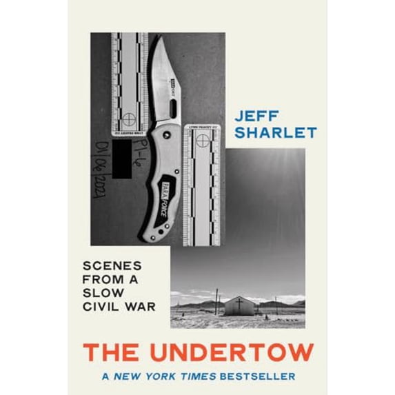 Pre-Owned The Undertow: Scenes from a Slow Civil War (Hardcover) 1324006498 9781324006497