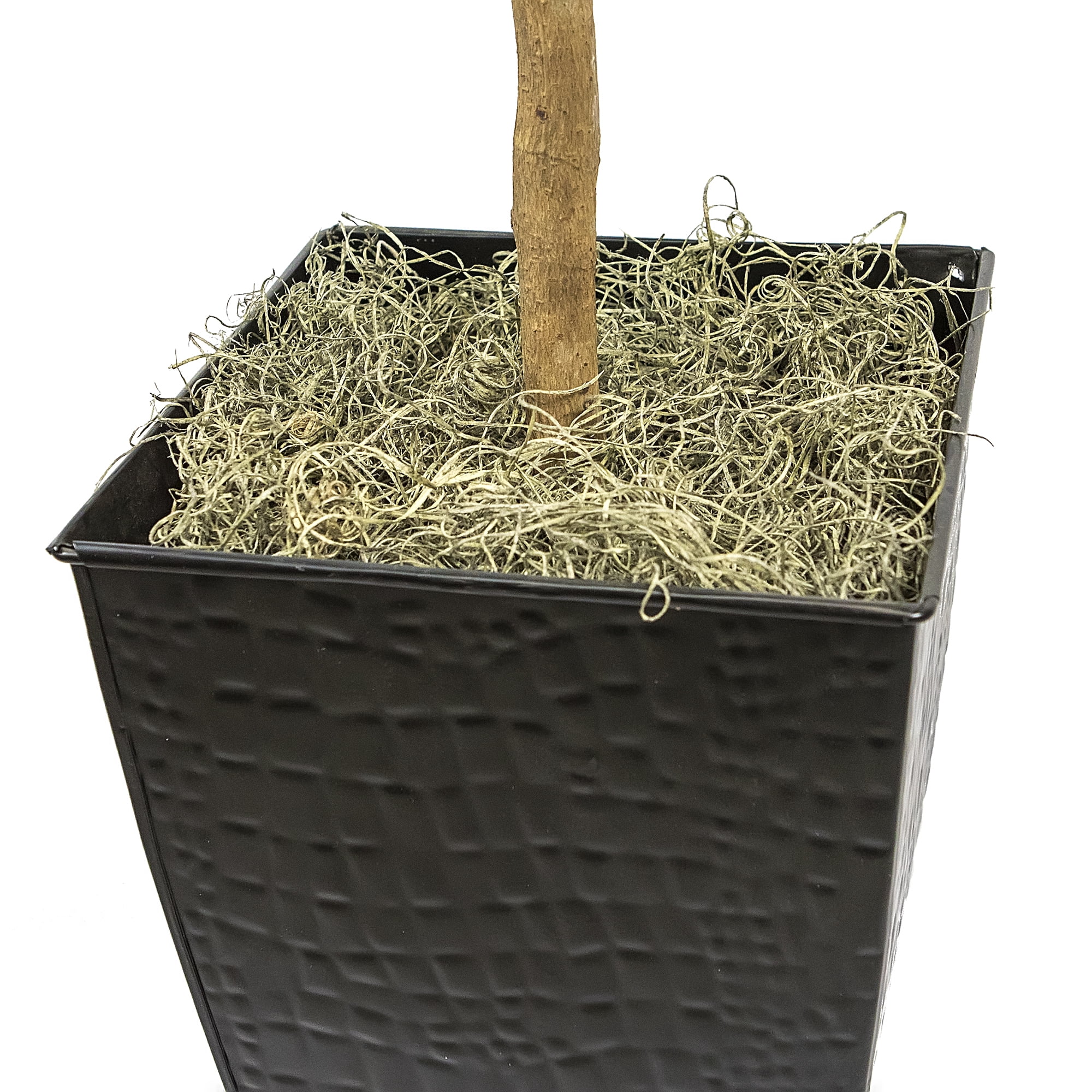 LCG Florals Artificial Tree, Fig Tree, 6 ft, Black Metal Container