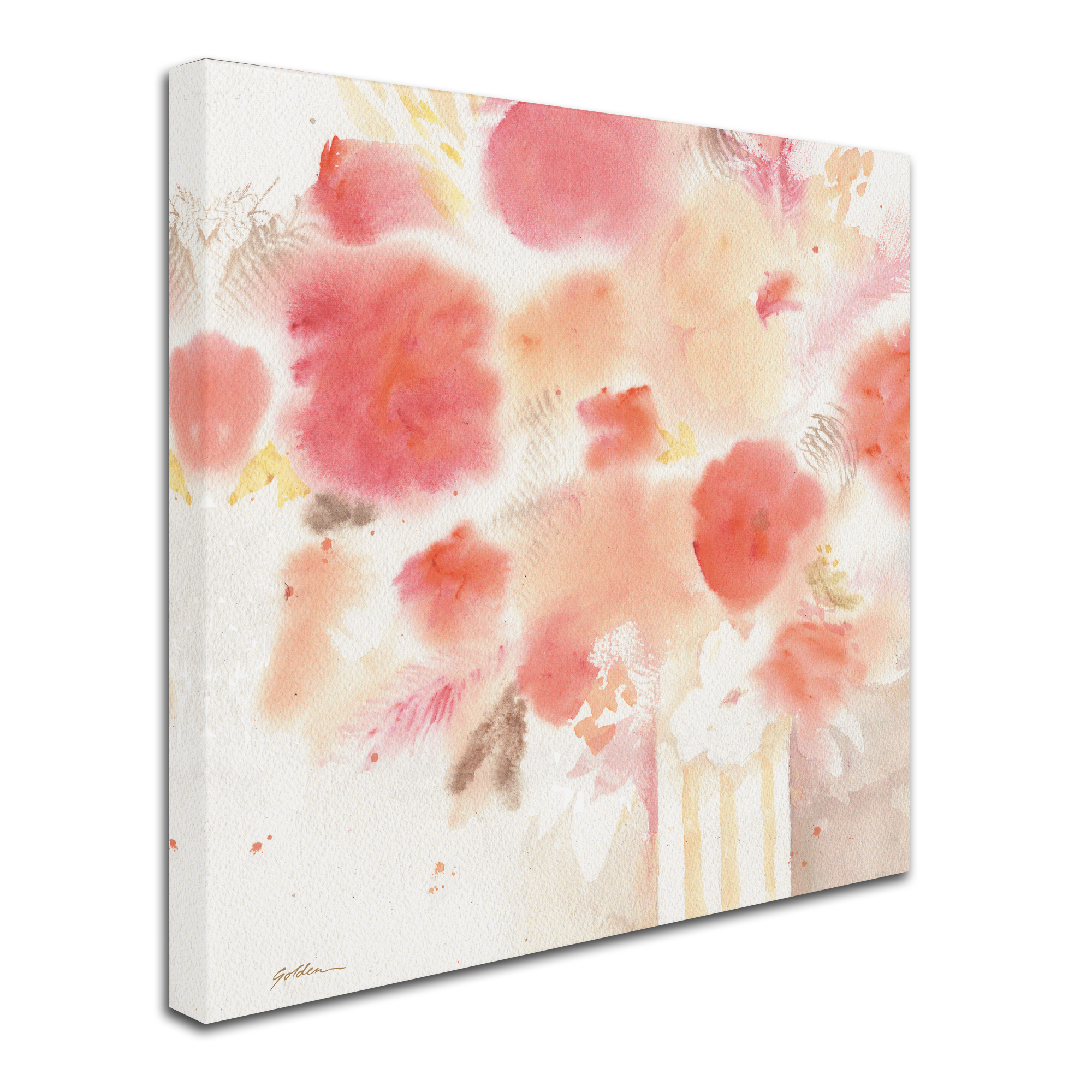 Trademark Fine Art 'Pink Tones 3' Canvas Art by Sheila Golden