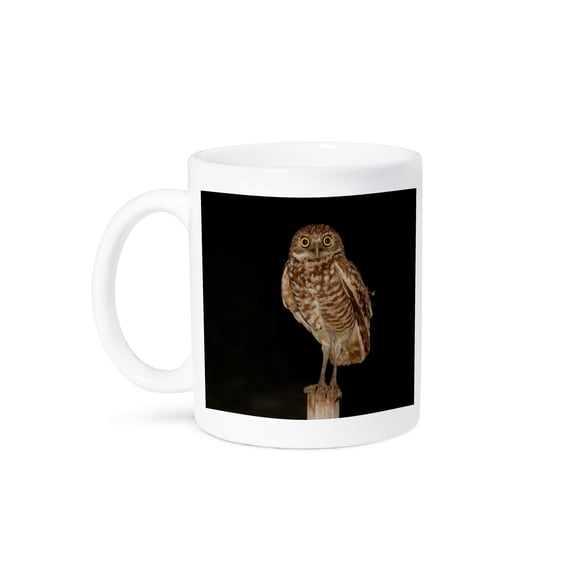 3dRose, Mama Owl, 11oz Mug