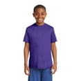 thumbnail image 1 of Camiseta Sport-Tek® Youth PosiCharge® Competitor™. YST350 deporte-tek YST350, 1 of 1