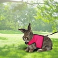 thumbnail image 5 of Rabbit Harness and Lead Set, Adjustable Soft Rabbit Harness, Rabbit Harness and Lead Set, Soft Harness with Lead for Rabbits, Rabbit Harness with Elastic Lead, 5 of 7