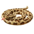 thumbnail image 2 of Muñeco de peluche de serpiente gigante, cojín para el cuello, animal de peluche grande, serpiente Marrón, 2 of 9