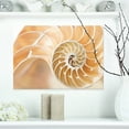 thumbnail image 1 of Brown Nautilus Shell Pattern - Abstract Canvas Art Print, 1 of 3