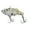 E, variant on Hearth & Gear Lipless Crankbait – Unique Flat Back Design For Enhanced Vibration & Thud Sound in The Dark Ice Bow Rig Boys Tackle Boxes for Bag Hooks Small Deep Diving Trolling Tackle Set Drop Shot