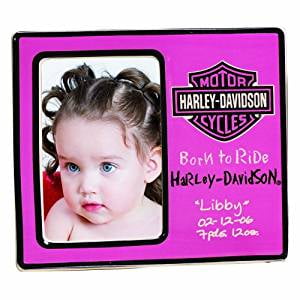 Harley-Davidson 48 Poker Chip Collectors Frame Black 6958 21.25 x 15.25 inch