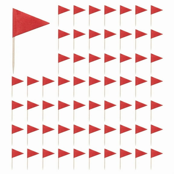 300 Pcs Solid Red Toothpick Flags Small Mini Plain Red Color Stick Cupcake Toppers Flags DIY Decoration