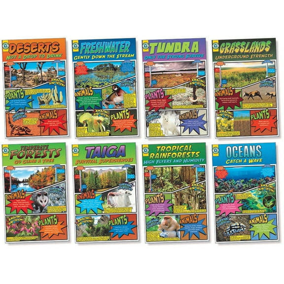 North Star Teacher Resources Biomes Bulletin Board Set