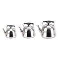thumbnail image 3 of Abbracc tea Kettle Stainless Teakettle Sturdy Teapot Hot Pot for Fast Boiling with Infuser, , , 3L, 3 of 9