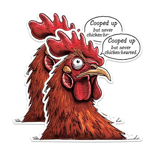 (2 Pack) Funny Chicken Magnets - Quirky Rooster Magnets - Chicken Decor Magnets for Kitchen- 5" On Longest Side - for Fridges, Toolboxes, Cars - Made in USA - MAG2606