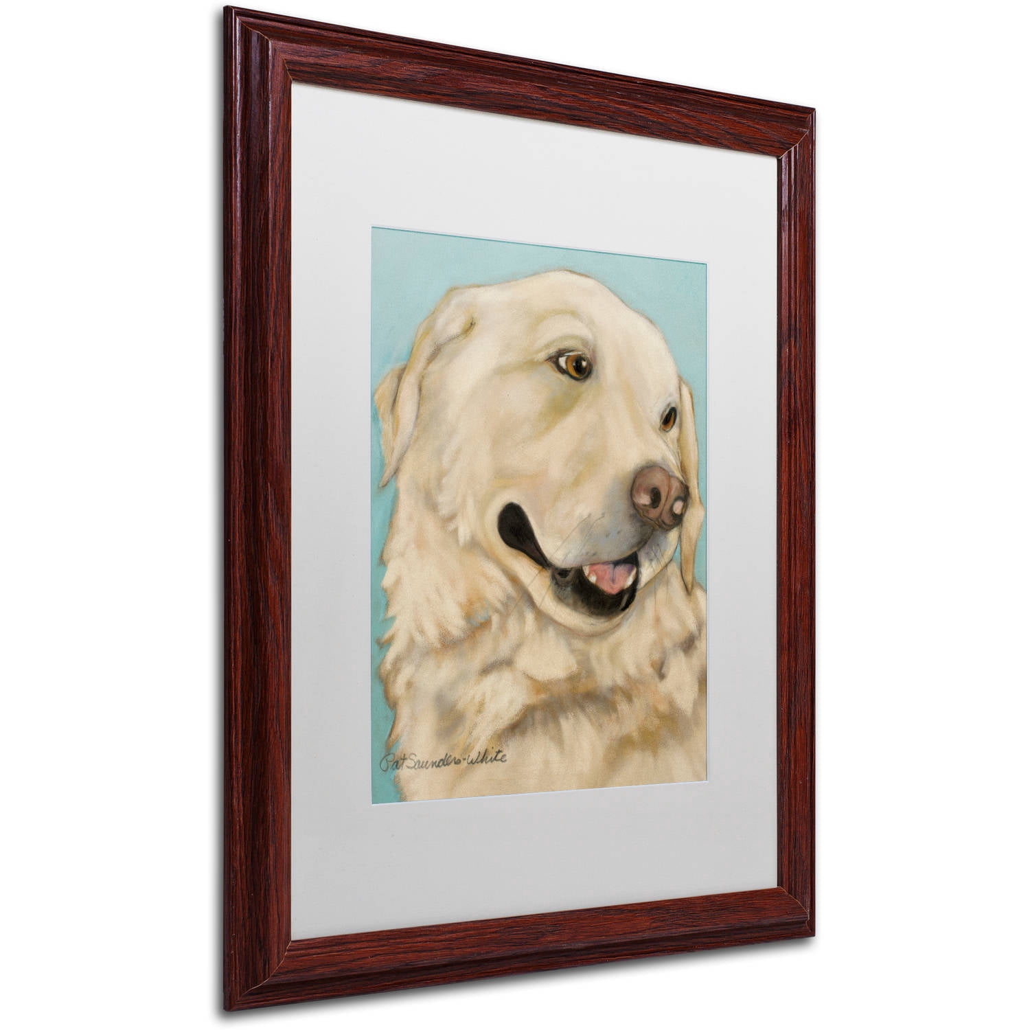 Trademark Fine Art 16 x 20 Animals Matted Framed Art ' Jasper ' by Pat Saunders-White