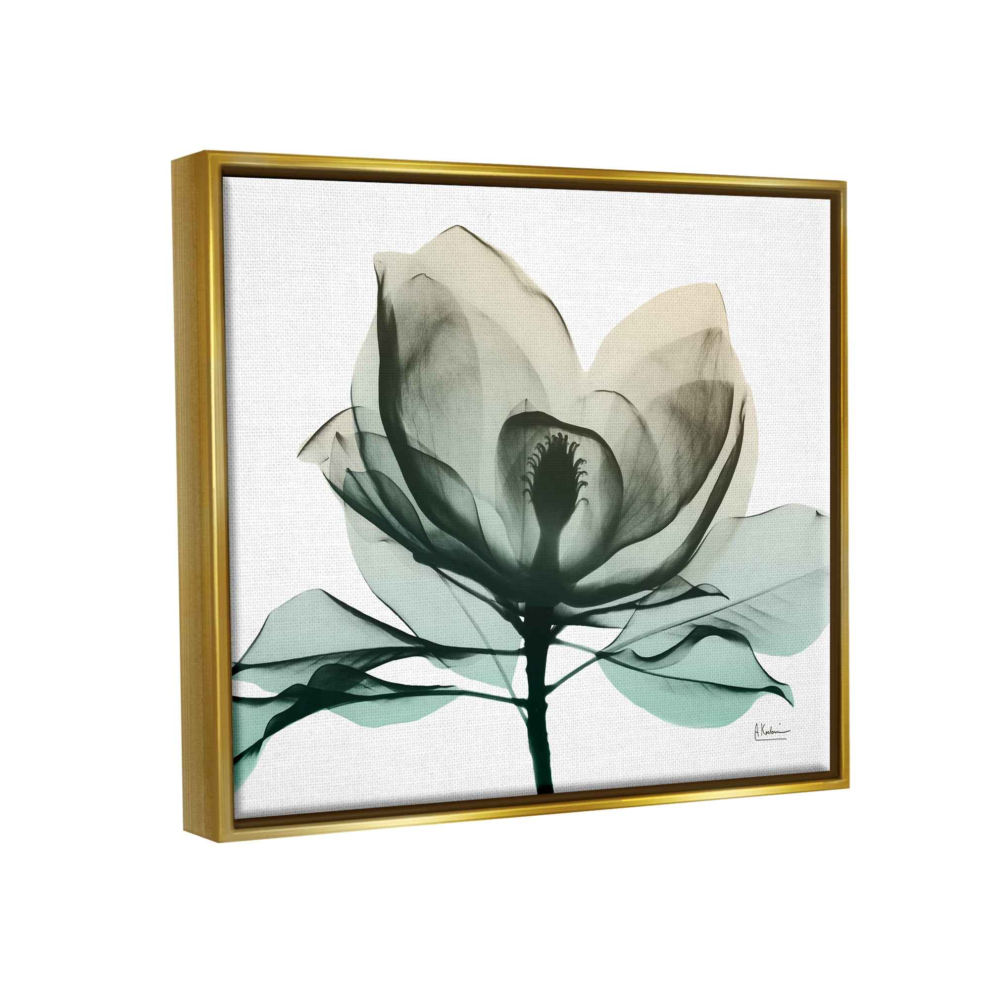Stupell Industries Green X-Ray Flower Botanical & Floral Photography Gold Floater Framed Art Print Wall Art, 21 x 17
