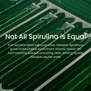 (Pack Of 2) Nutrex Spirulina 200 Tablets