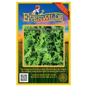 Everwilde Farms - 1000 Waldmans Green Leaf Lettuce Seeds - Gold Vault Jumbo Bulk Seed Packet