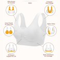thumbnail image 4 of Coobie Women's Seamless Full Coverage Comfort Bra 9060,White,Medium Size, 4 of 9