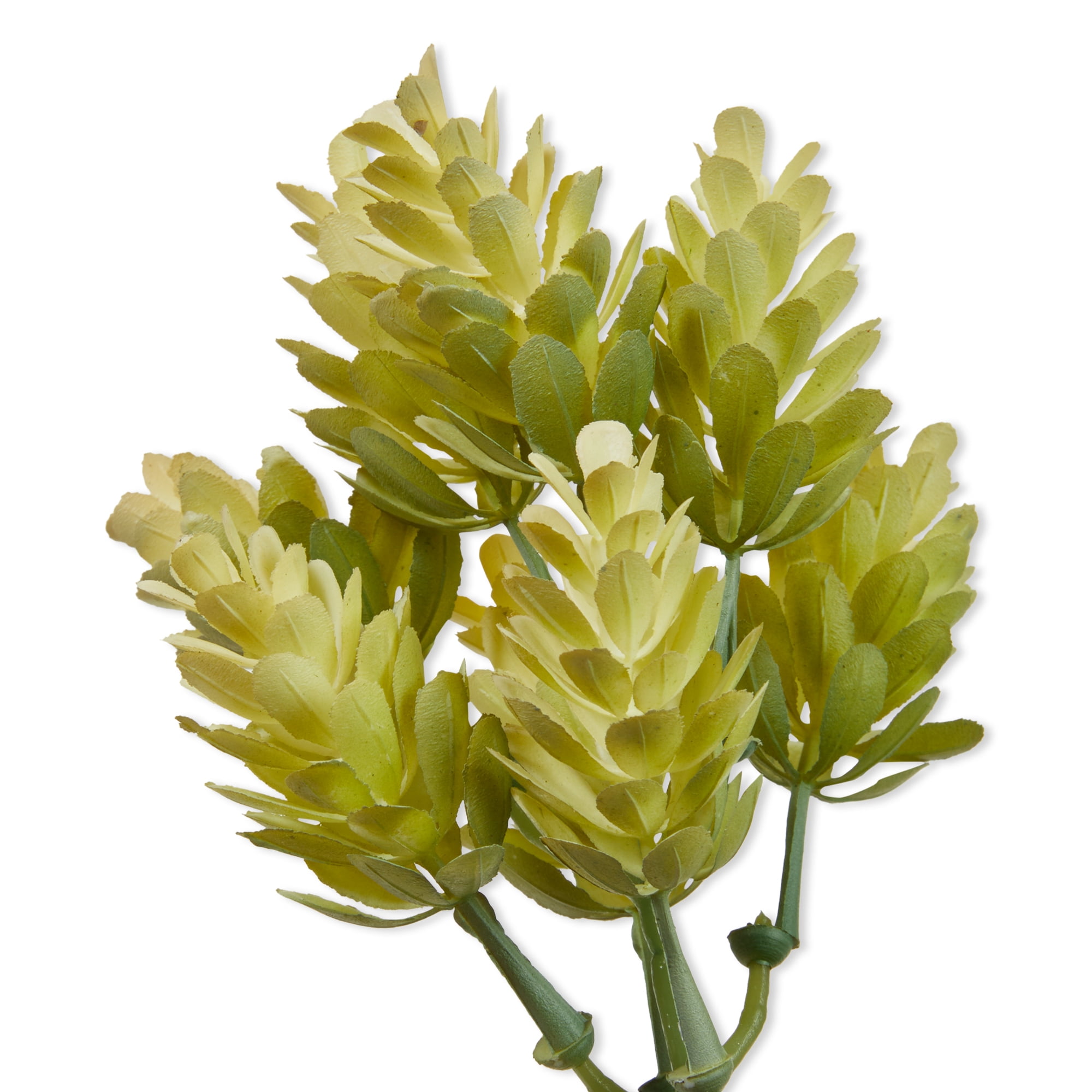Mainstays Artificial Hops Pick 2.5 Inch x 6.4 Inch Cream