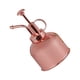 thumbnail image 2 of Billuyoard Pulverizador de acero inoxidable antioxidante Mini portátil anticorrosivo riego jardinería aspersor atomizador herramienta Accesorios Jardín y Patio Oro rosa Billuyoard  HA083709-02, 2 of 6