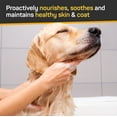 thumbnail image 5 of Silver Honey Nourish & Soothe Shampoo with Odor Neutralizer for Dogs & Cats, 16 fl oz Pump Bottle, 5 of 6