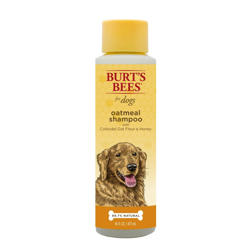 Burt's Bees Oatmeal Dog Shampoo with Colloidal Oat Flour and Honey, 16