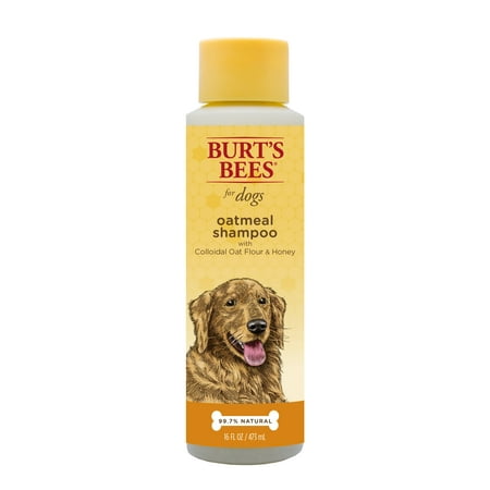 Burt's Bees Oatmeal Shampoo for Dogs, 16 oz. (Best Oatmeal Shampoo For Dogs With Allergies)