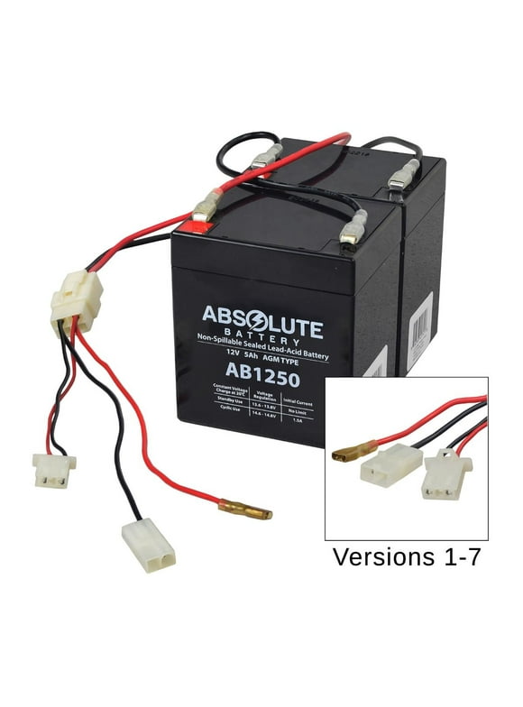 AlveyTech 24 Volt Battery Pack (Versions 1-7) - For the Razor E100, E100 Glow, E125 Electric Scooter