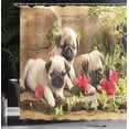 thumbnail image 4 of Ambesonne Pug Shower Curtain, Sibling Puppies Flowers, 69"Wx70"L, Fern Green Eggshell, 4 of 5