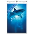 thumbnail image 3 of Shark - Depths Wall Poster with Wooden Magnetic Frame, 22.375" x 34", 3 of 5