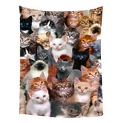 GCKG Cats Background Bedroom Living Room Art Wall Hanging Tapestry Size 80x60 inches