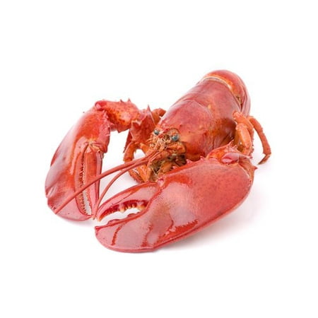 Nobrand Live Lobsters - Walmart.com