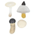 thumbnail image 2 of Ensemble de 4 Figurines de Champignons Miniatures Haute Simulation Décoration pour Éducation, 2 of 7