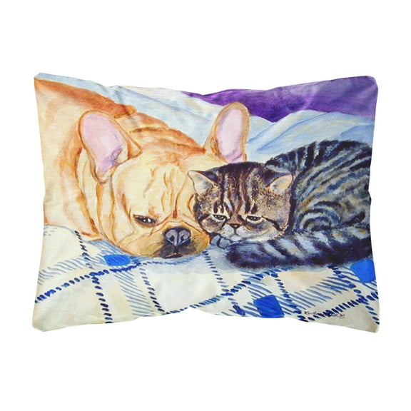 Carolines Treasures 7257PW1216 Cat Canvas Fabric Decorative Pillow, 12H x16W, multicolor
