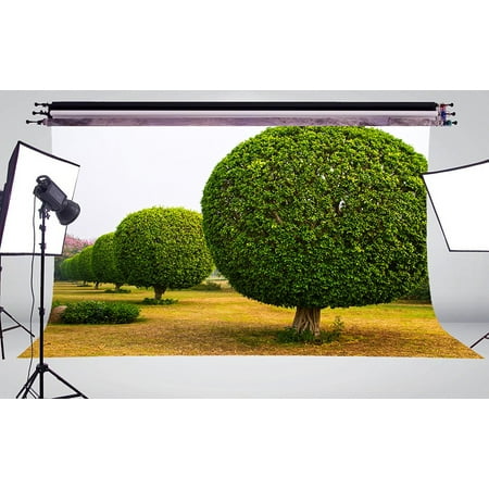 Image of GreenDecor 7x5ft The Pretty Pruning Trees Photo Background Photography Backdrop Studio Props
