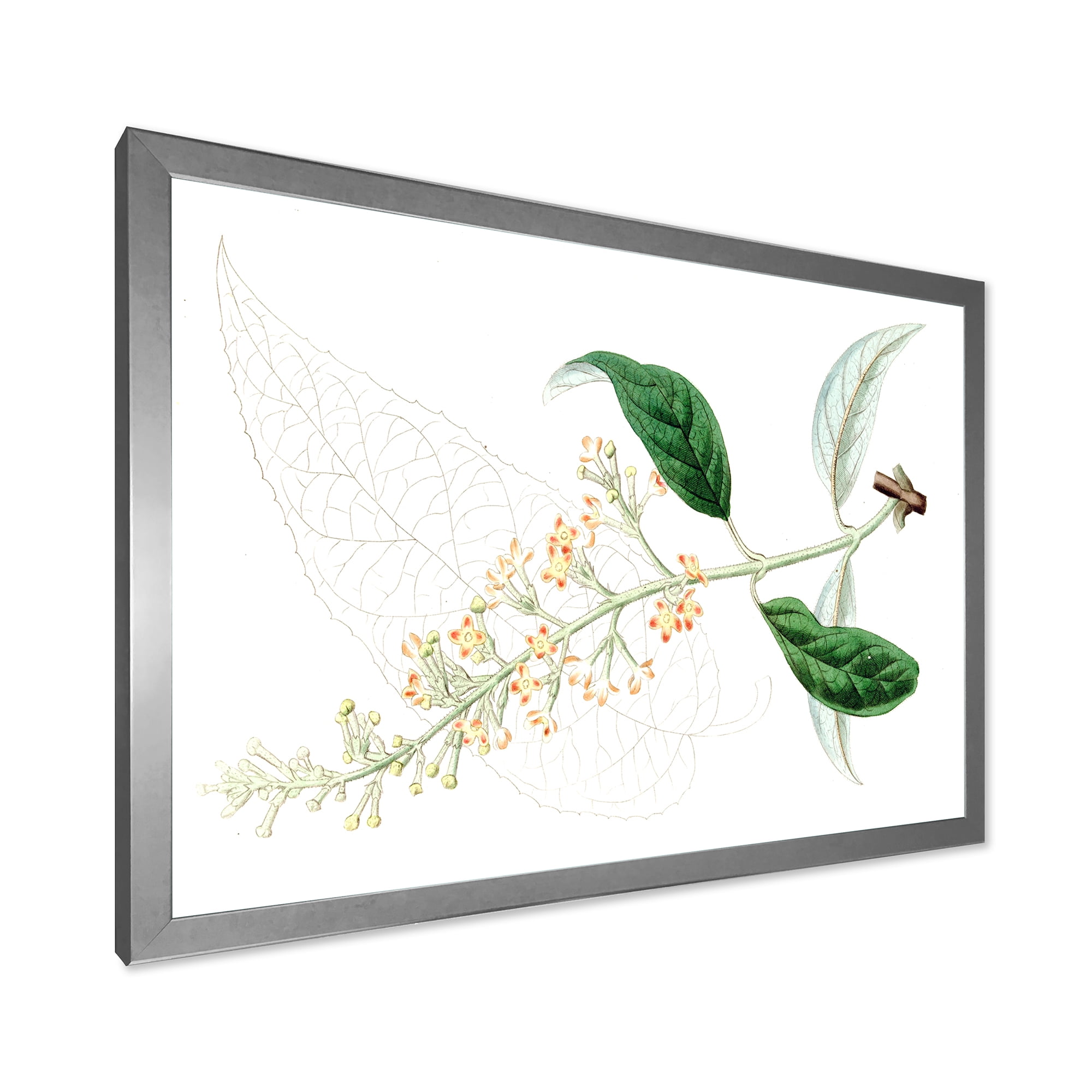 Designart 'Ancient Plant Life XXVII' Traditional Framed Art Print