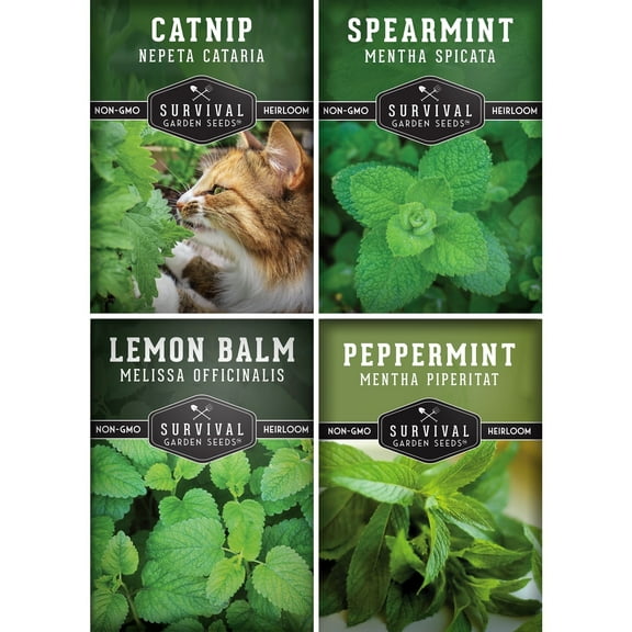4 Mint Seed - Peppermint, Spearmint, Lemon Balm, Catnip - Full Sun, Perennial Herbs