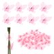 thumbnail image 1 of Uxcell 100-Pack Clips de Orquídea Plásticos para Jardín Clips de Plantas Libélula Clips de Orquídea [Rosa], 1 of 1