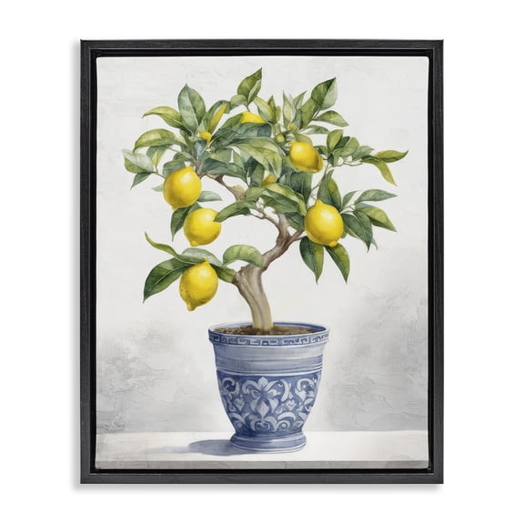 Stupell Industries French Country Traditional Potted Lemon Tree Black Floating Frame Canvas Art, 17 x 21, by Kim Allen